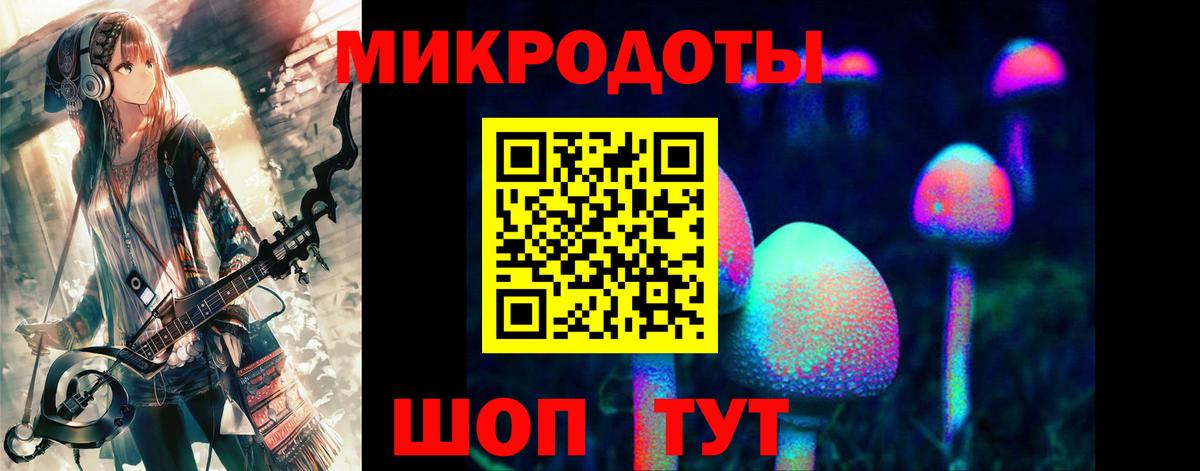 Псилоцибиновые грибы Psilocybine cubensis  Вход с VPN  Бахчисарай 